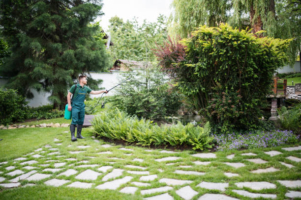 Best Pest Prevention Services  in Coldstream, OH