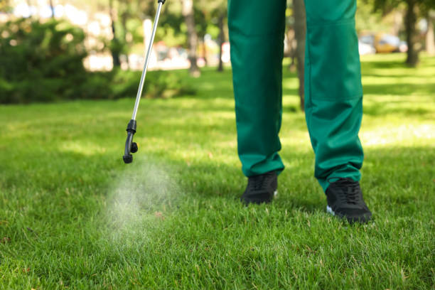 Best Termite Control Services  in Coldstream, OH