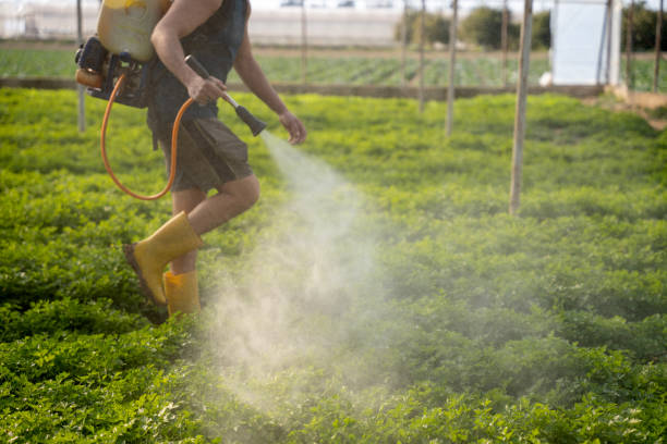 Best Best Pest Control Companies  in Coldstream, OH