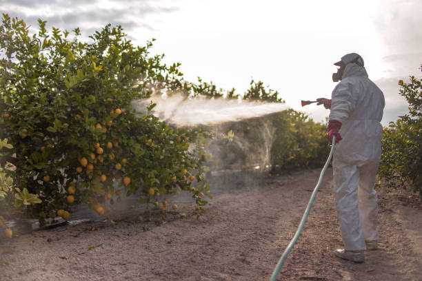 Best Local Pest Control Services  in Coldstream, OH
