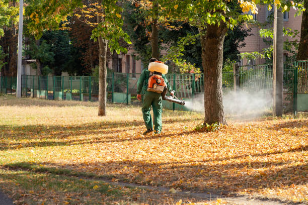 Best Mosquito Control Services  in Coldstream, OH