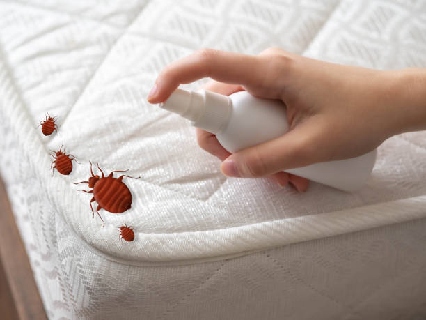 Pest Prevention Services in Coldstream, OH